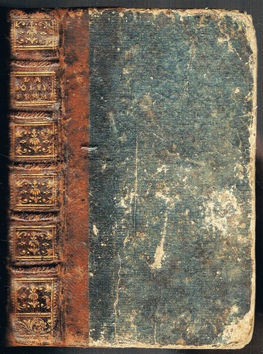 Jolie femme du - femme,