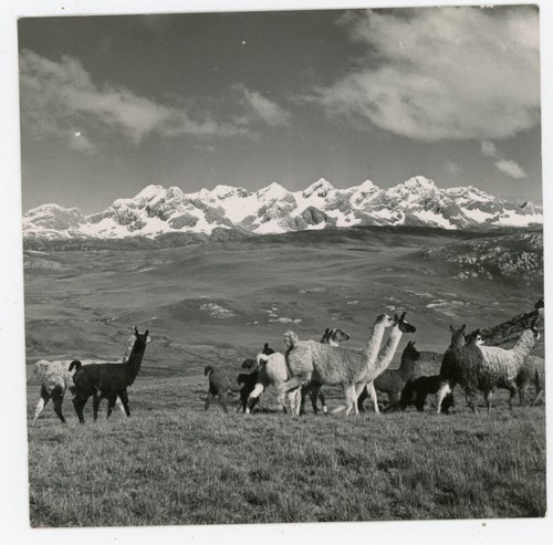 Photo 1954 bolivia - bolivia, des