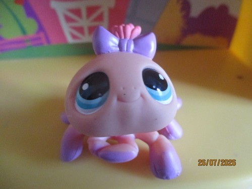Petshop araignée 1078 - petshop, #1078