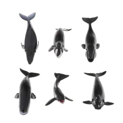 Simulation requin baleine - simulation,