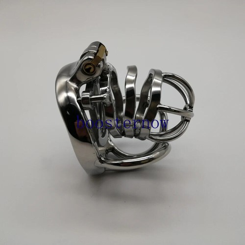 Testis separate cage stainless - testis,