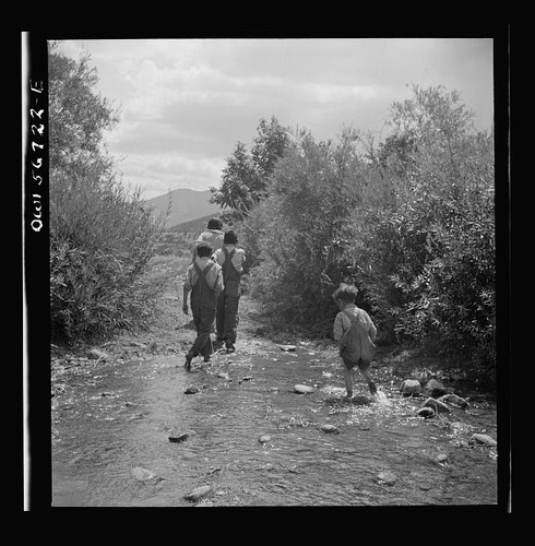 Photo children wading stream - photo:children,