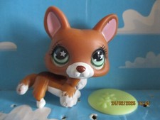 PETSHOP CHIEN CORGI N°897 +
