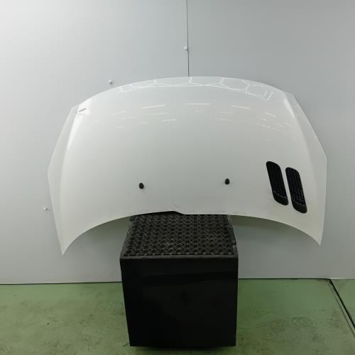 Capot peugeot 206 7901r5 - capot,