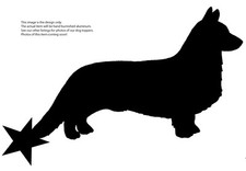 Cardigan Welsh Corgi, Star on