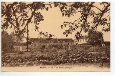 DAMMARTIN SUR MEUSE  Haute Marne CPA 52 Ecole de Malroy 22 le jardin potager