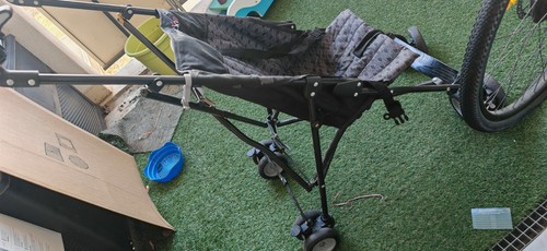 Trottine poussette canne buggy