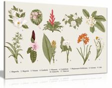 Tableau art mural sur toile fleurs botaniques exotiques