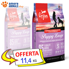 ORIJEN Chien Puppy Grandes