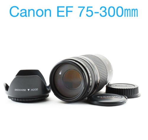 Objectif zoom canon - objectif, ef