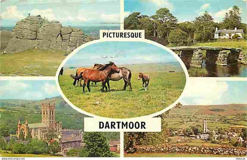 Carte postale animaux - postale,