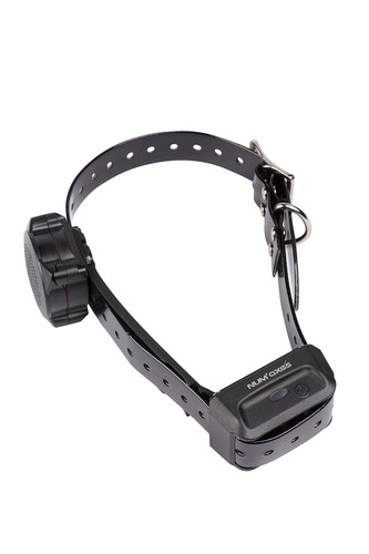Collier seul canicom - seul, voice