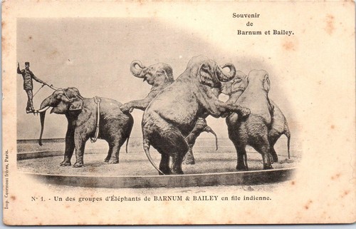 Themes cirque elephants - themes,