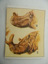 Stikers album panini 1992 - stikers,