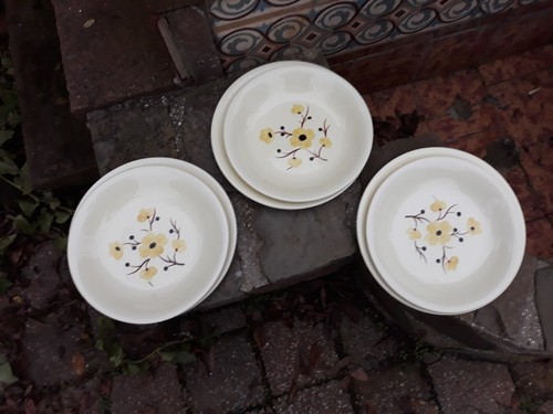 Lot assiettes plates creuses - 6,