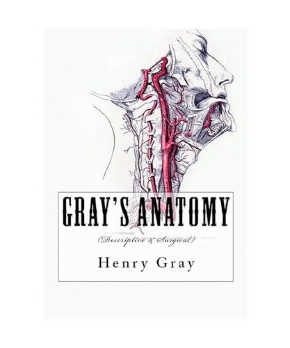 Gray anatomy descriptive - [descriptive, &