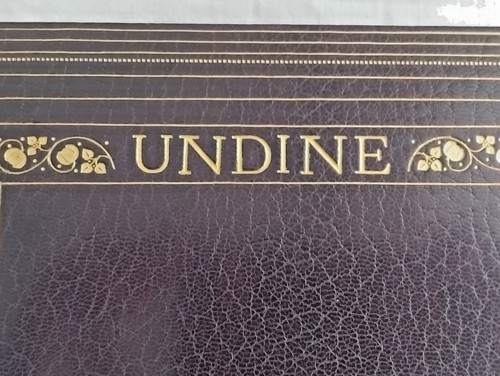 Undine 1909 motte - undine, de