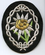 WWII Elite Mountain Troupe