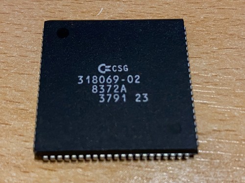 Fat agnus csg - csg, (1x