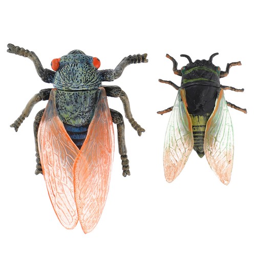Pcs jouets insectes - 2, modèles