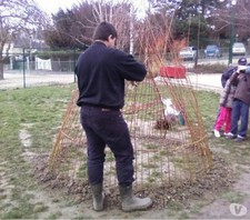 52 brins d'osier vivant 2m