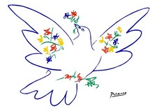 PICASSO COLOMBE DE LA PAIX -  AFFICHE POSTER