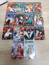 Lot De 14 Mangas Evangelion
