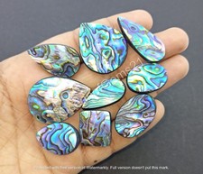 Cabochon de coquille d'ormeau