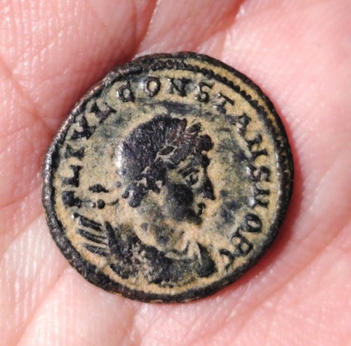 Follis constant i - constant,