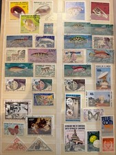 🦬Collection de Timbres du