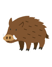 5 x autocollants de voiture