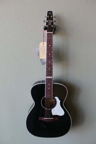 Demo model seagull - model,