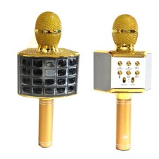 Micro Mégaphone Baffle