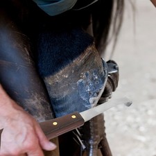  Couteau de sabot en acier