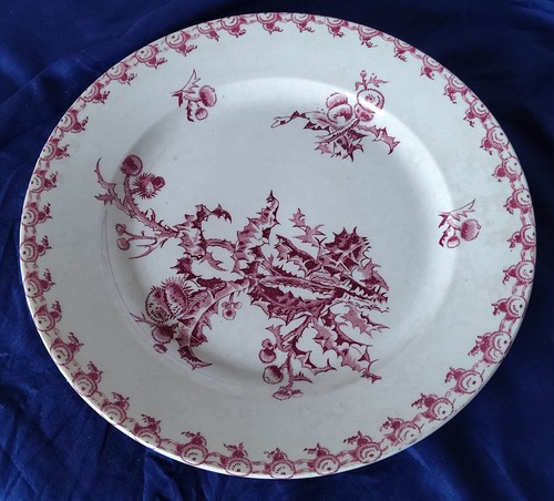 Plat porcelaine opaque de - en,