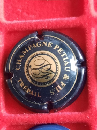 Capsule muselet champagne - capsule,