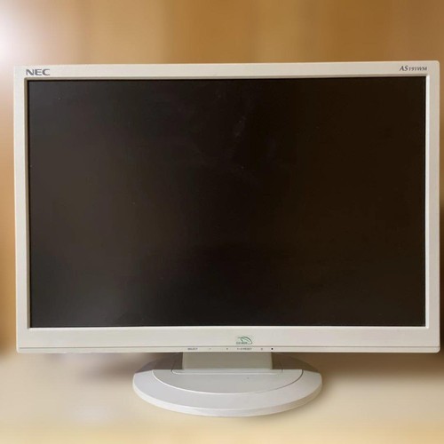 Nec as191wm pouces wxga - 19,
