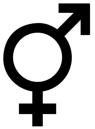 Intersex gender symbol vinyl - gender,