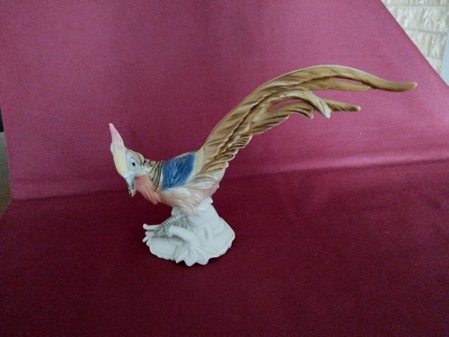 Grand faisan porcelaine de - faisan,
