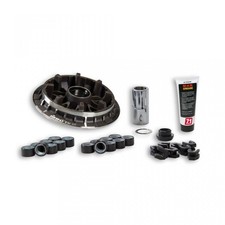 Variateur Malossi Multivar