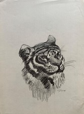 Horst Dumann Portrait Tigre