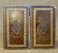 2 panneaux cuir doré estampé (couvertures livre) / Reliure XIXe curiosité