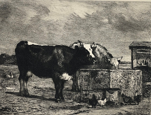 Abreuvoir gravure eau forte - gravure,