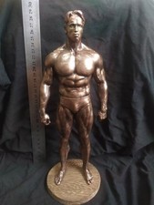 Custom Terminator Arnold H28cm