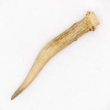 Bois de Cerf Longueur 12 CM