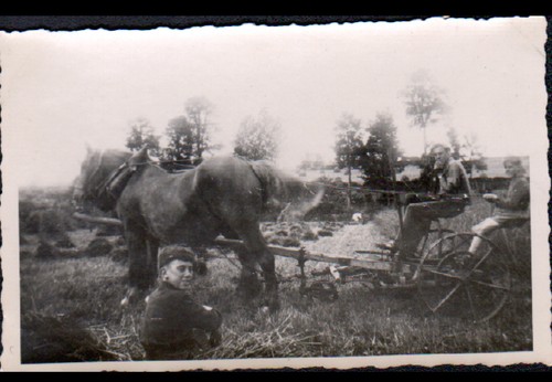 Travail agricole fenaison avec - fenaison,