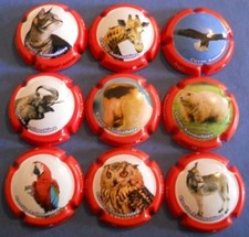 série  9 capsules de