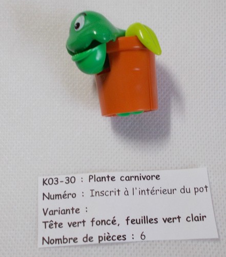 Kinder plante carnivore - plante,