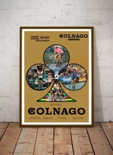 Colnago Gold Saronni Wall