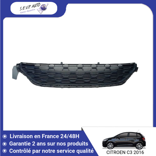 Grille pare choc - 🇫🇷,